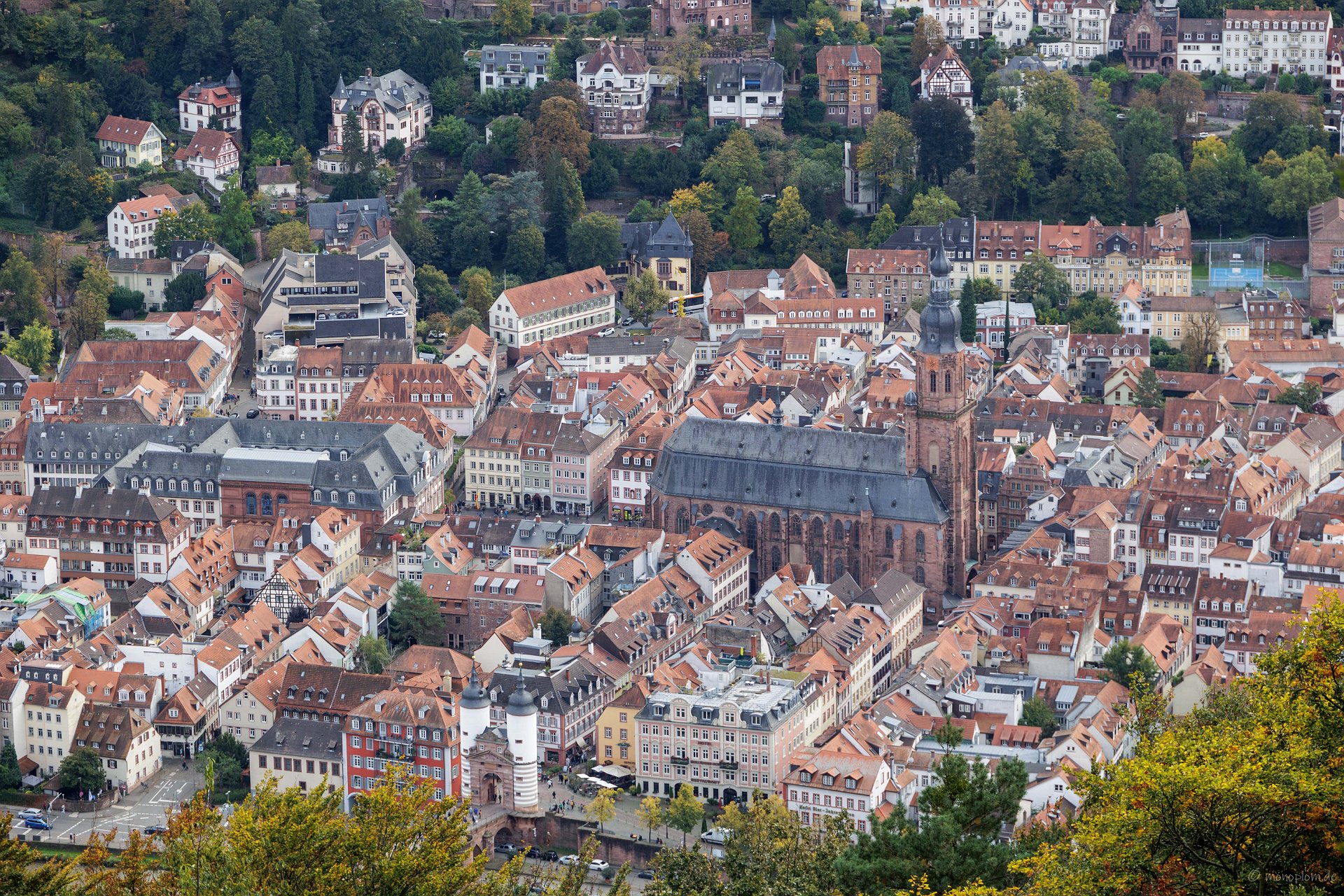 20241012-IMG_3802 