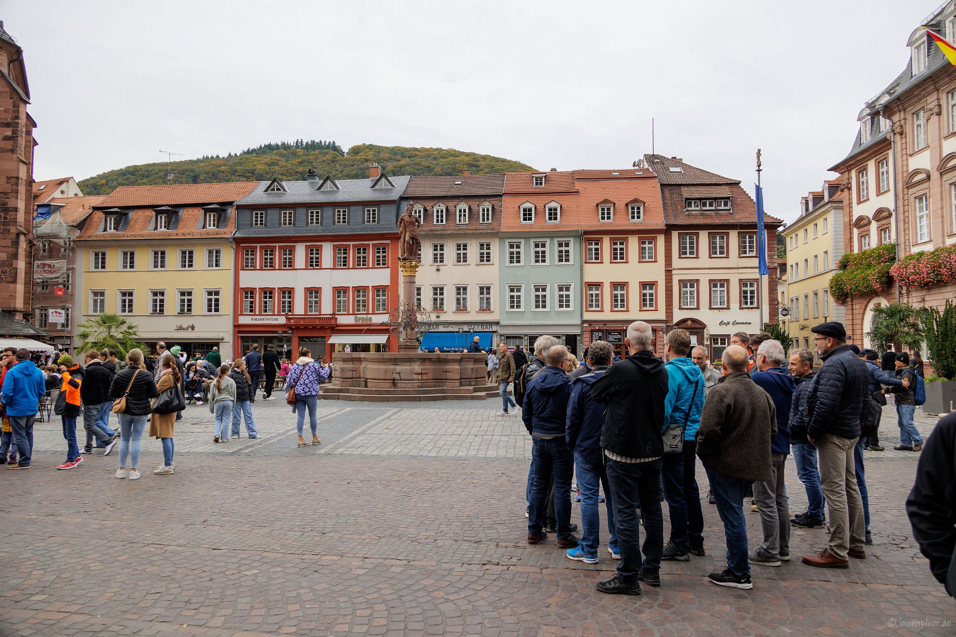 20241012-IMG_3826 